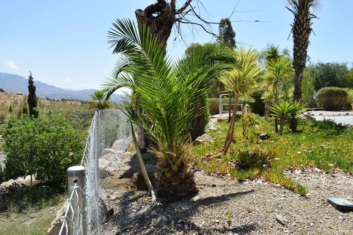 5252f365-c166-49d6-8331-3eb924211a89