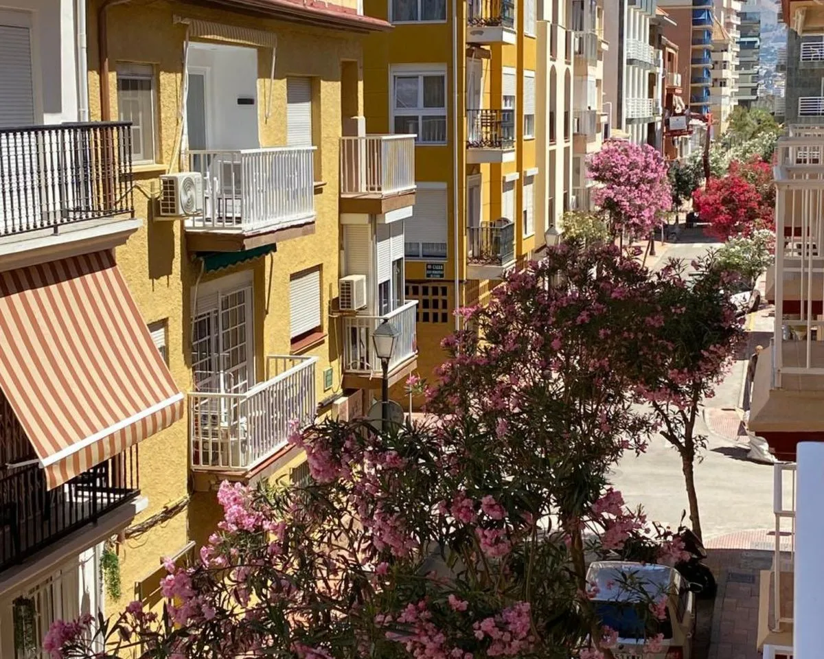 25b12c84-74ed-424c-8a3e-a69dab838324