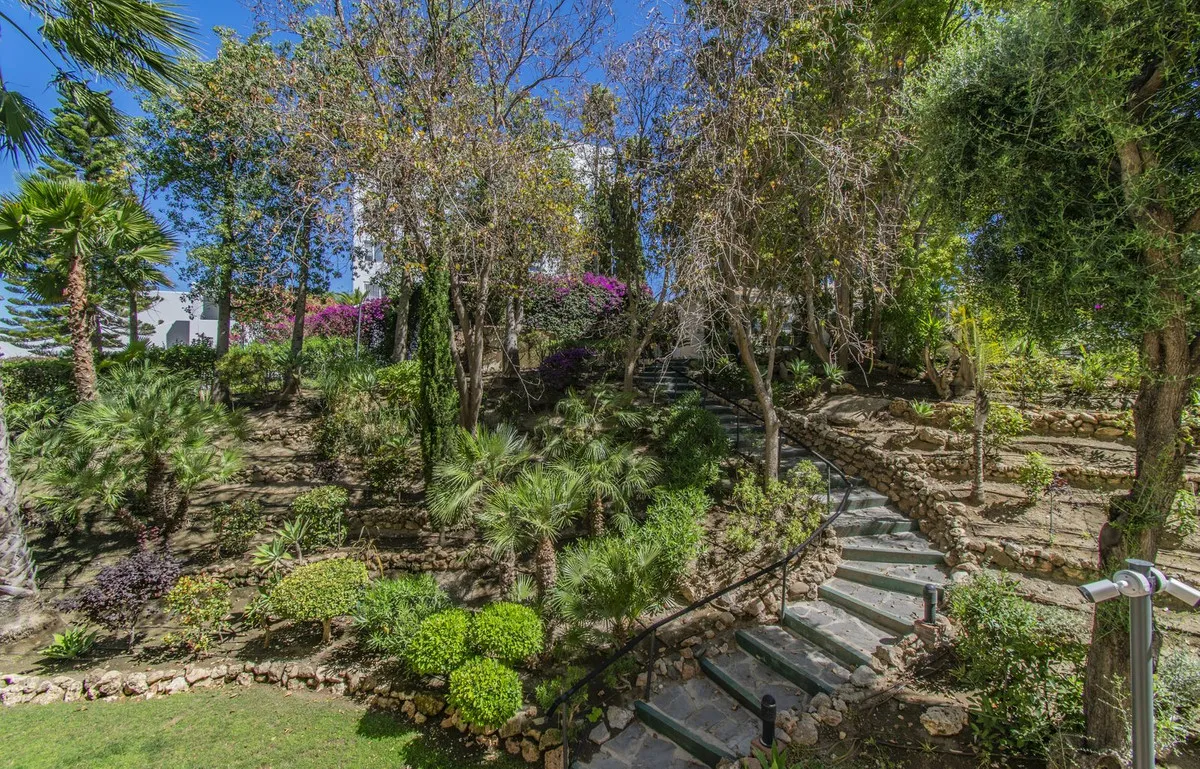 583d9a0d-3ea4-485d-a0b8-0396dd953f80