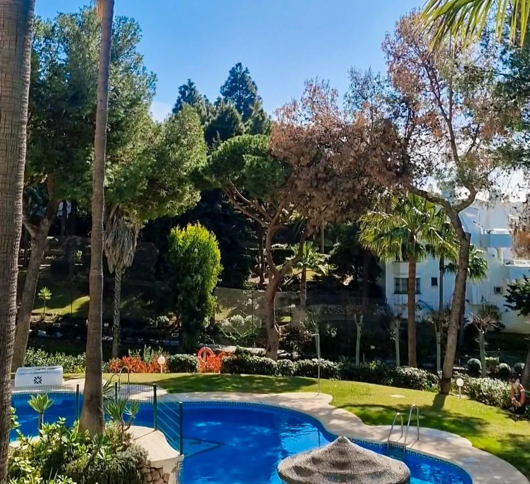 010abfa6-8168-49bd-8b70-7a863a4d13e5