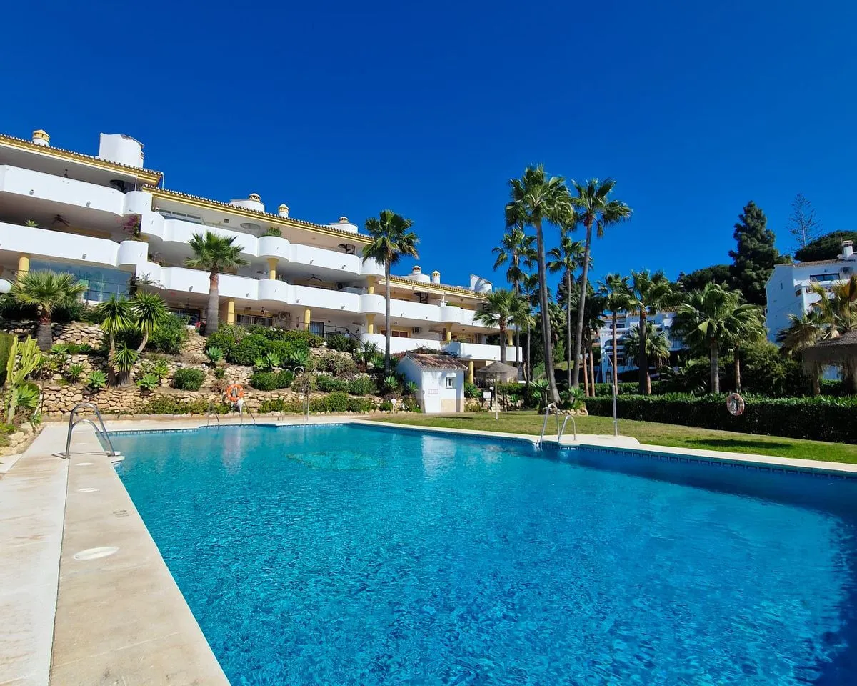 99cedf0e-e839-4a78-8bbf-b1e35998a0d7