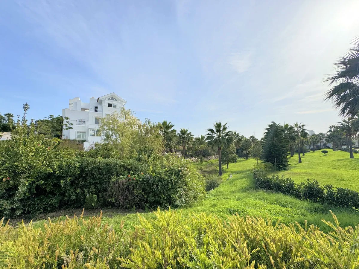 446f178d-ed72-437e-ae54-80e4a67ff655