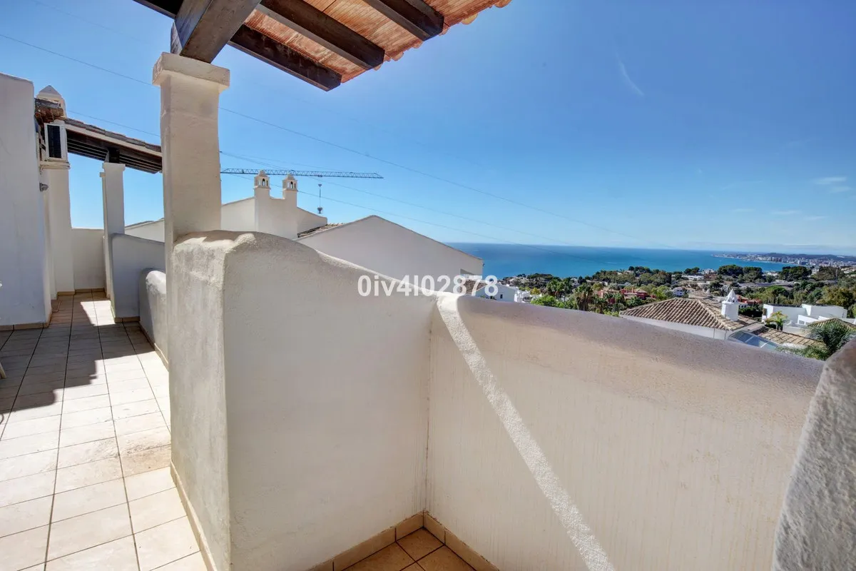 2e2e566a-5421-4632-8cbe-af3af8a1f888