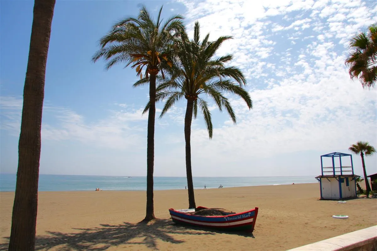 bac24386-77d0-4dd9-a5ab-456fd6b9ca15