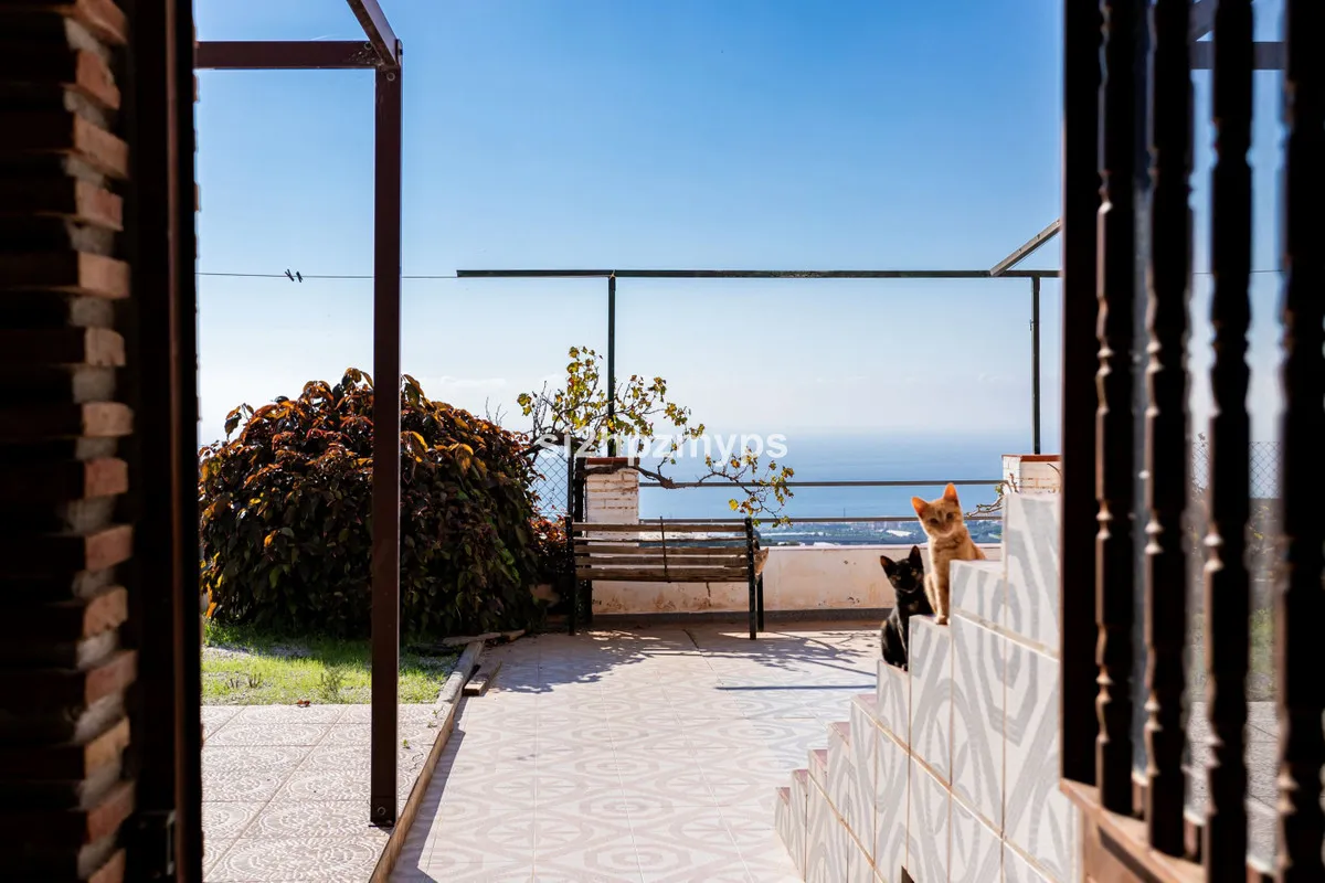 3a627b06-b731-4d84-a67b-c424726d96da