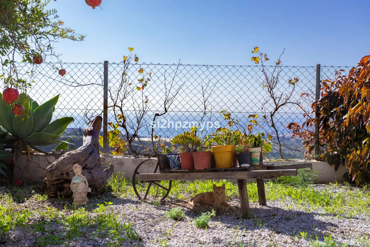 bba3a8e1-8351-4fe9-9e57-906730aae357