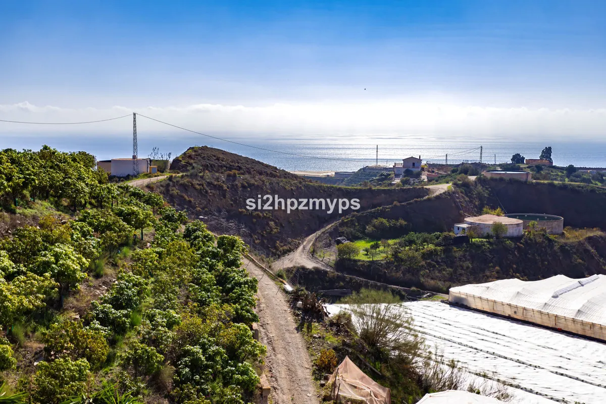 cf167877-2a3b-4f35-a333-63927424b49e