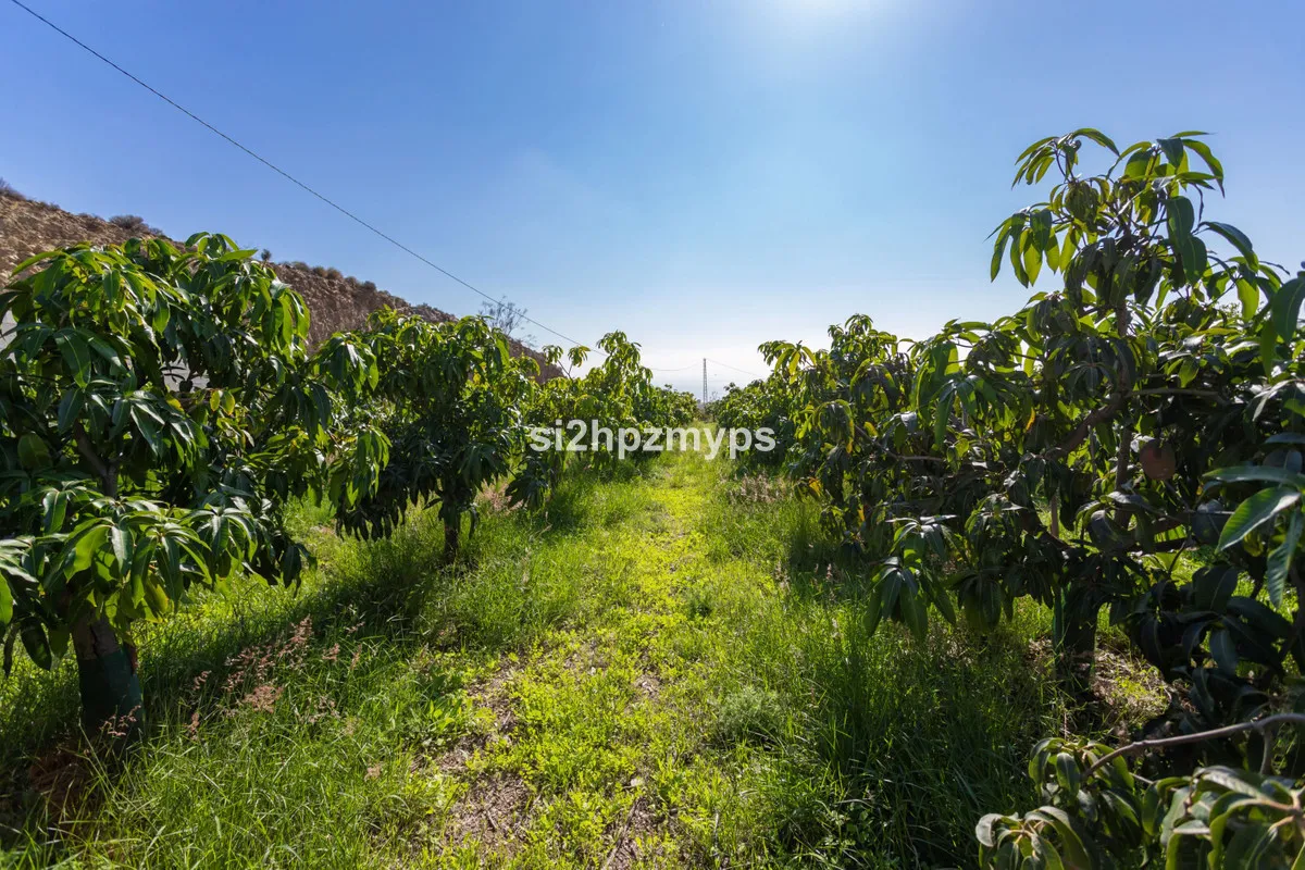 d400084c-b678-412d-ac9f-923c4da67398