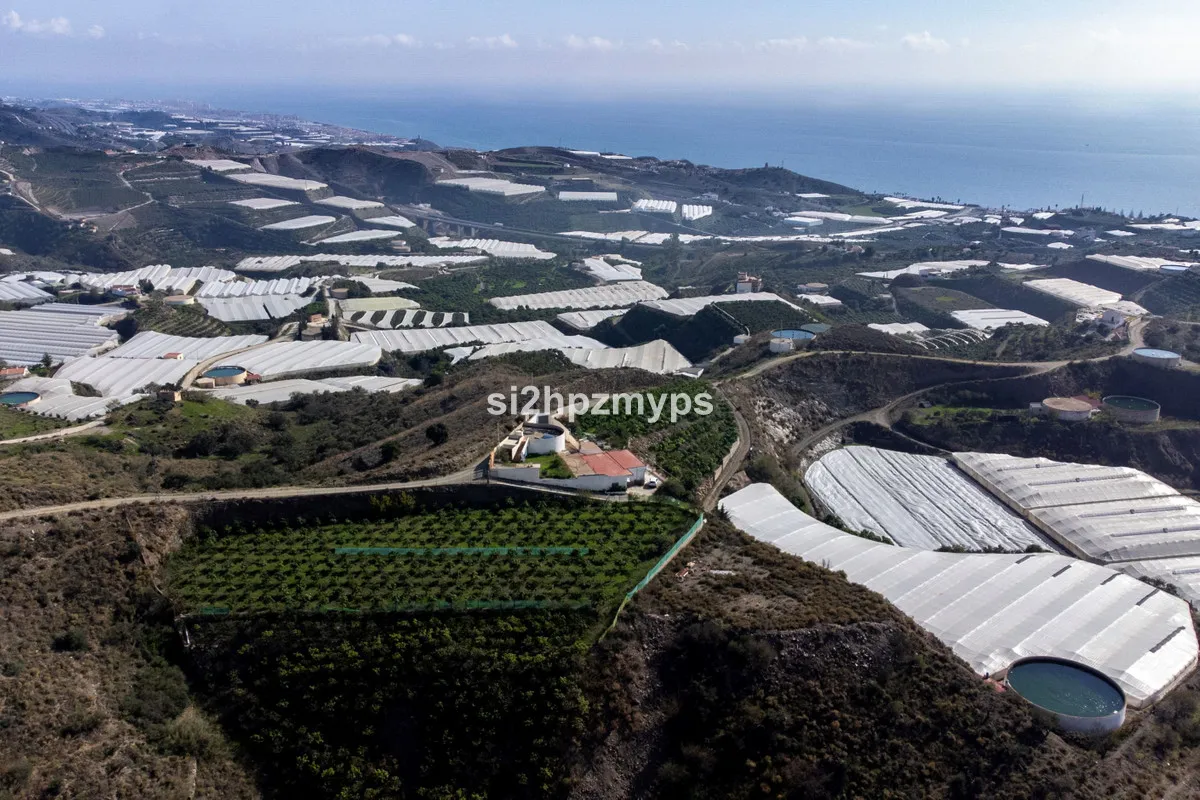 d5ffecb4-7718-43d0-bfaa-09a7f9b4c580