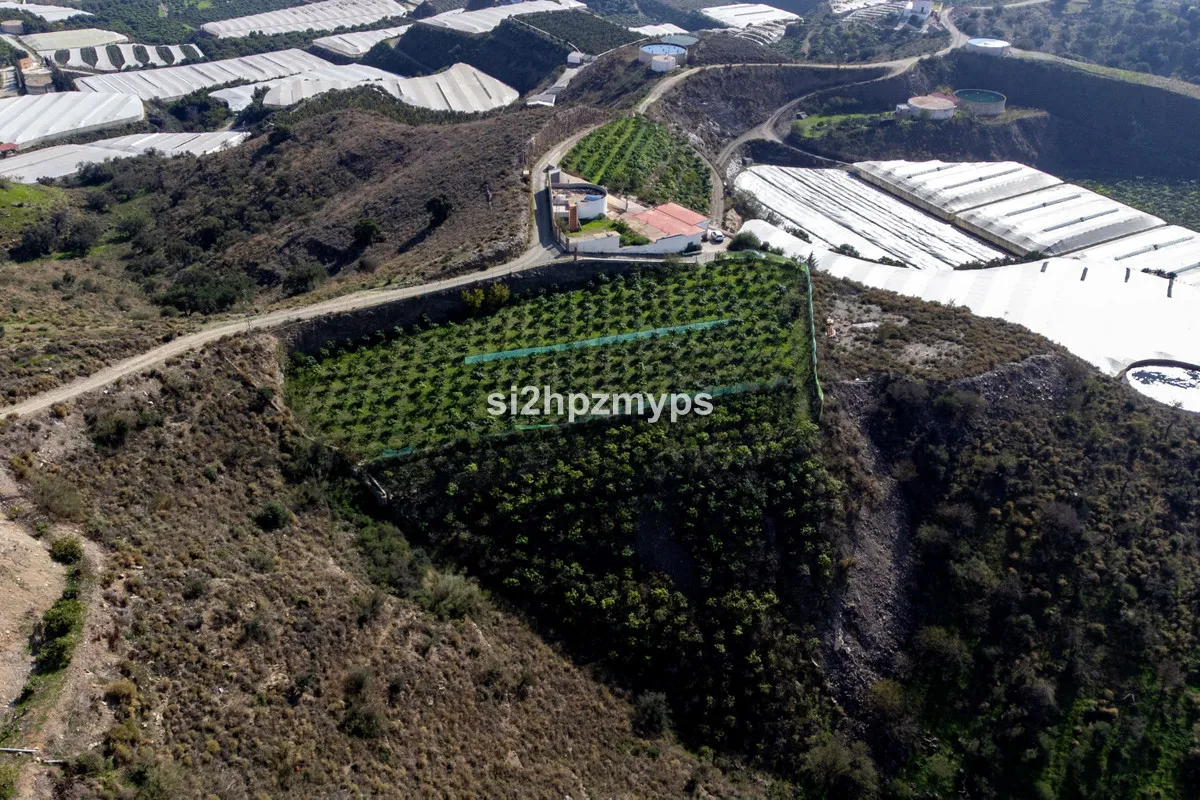 e92af34a-1a29-4e34-a617-ba3998c53109