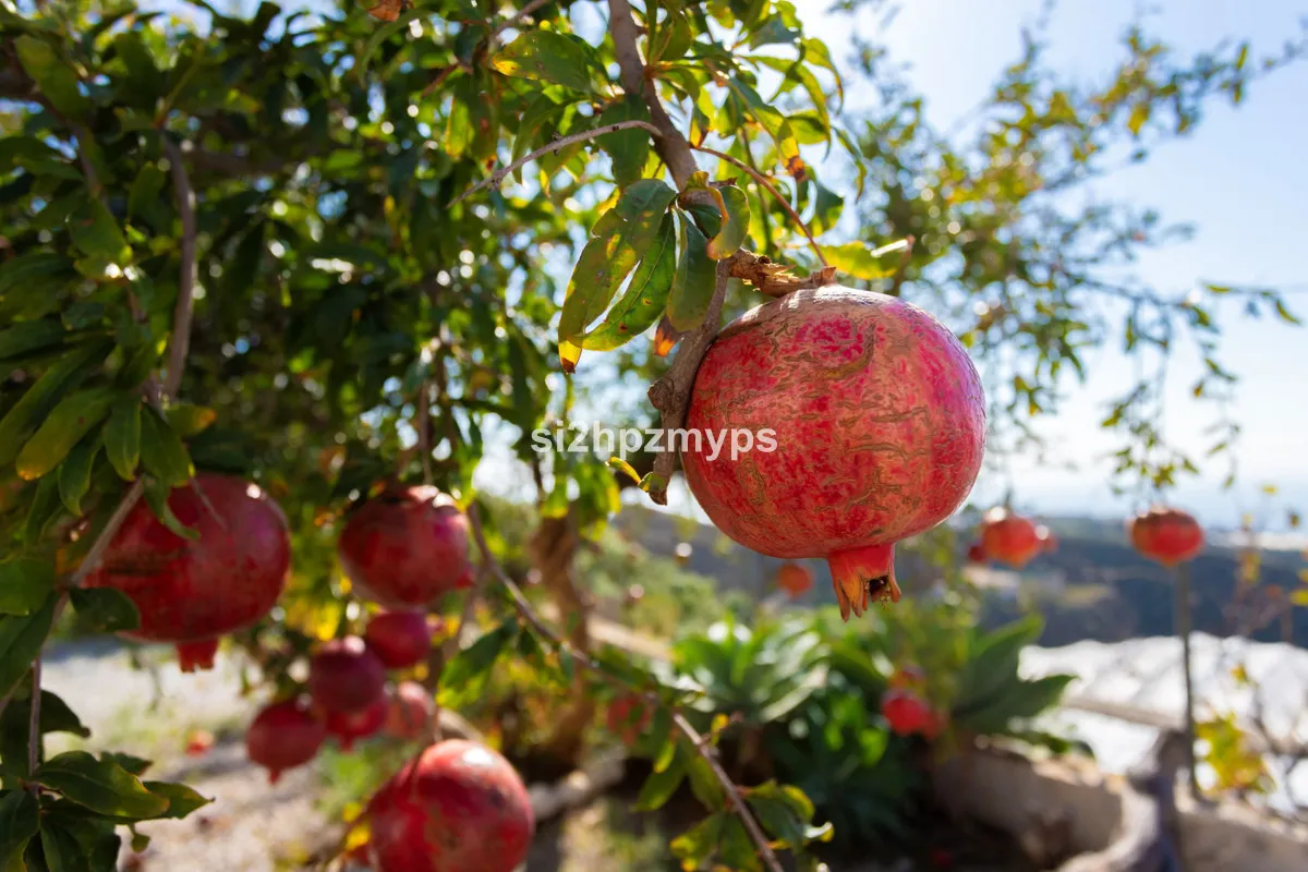 f4530a78-6da6-4e3e-8676-c6c653c2031f