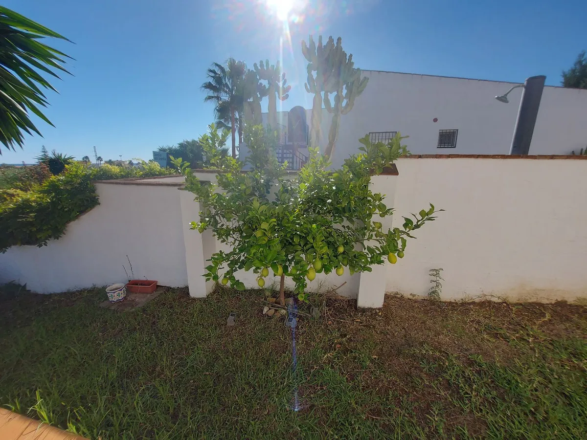 9ea74b2a-b443-4562-b684-94a319c06ed5