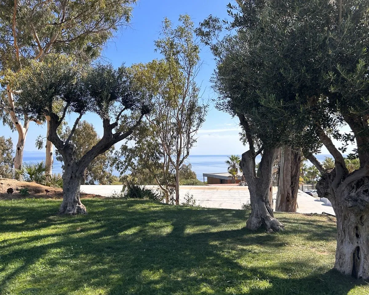 f1fbd191-b4a0-48ba-b74a-94e47cc5070b