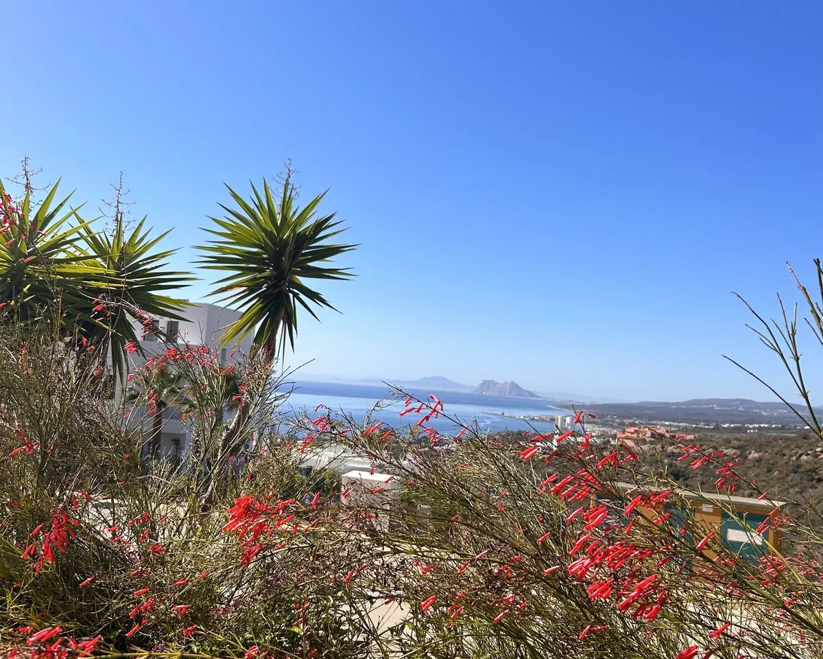 ff513d21-b9b0-4196-8e1e-2cacaeb40af7