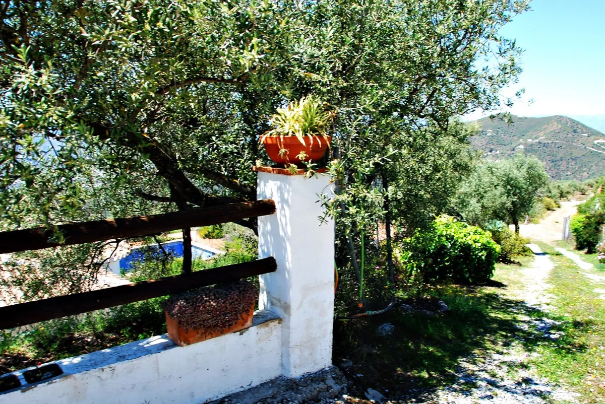 d210a4fb-d195-4632-8c62-ead391ad39ac