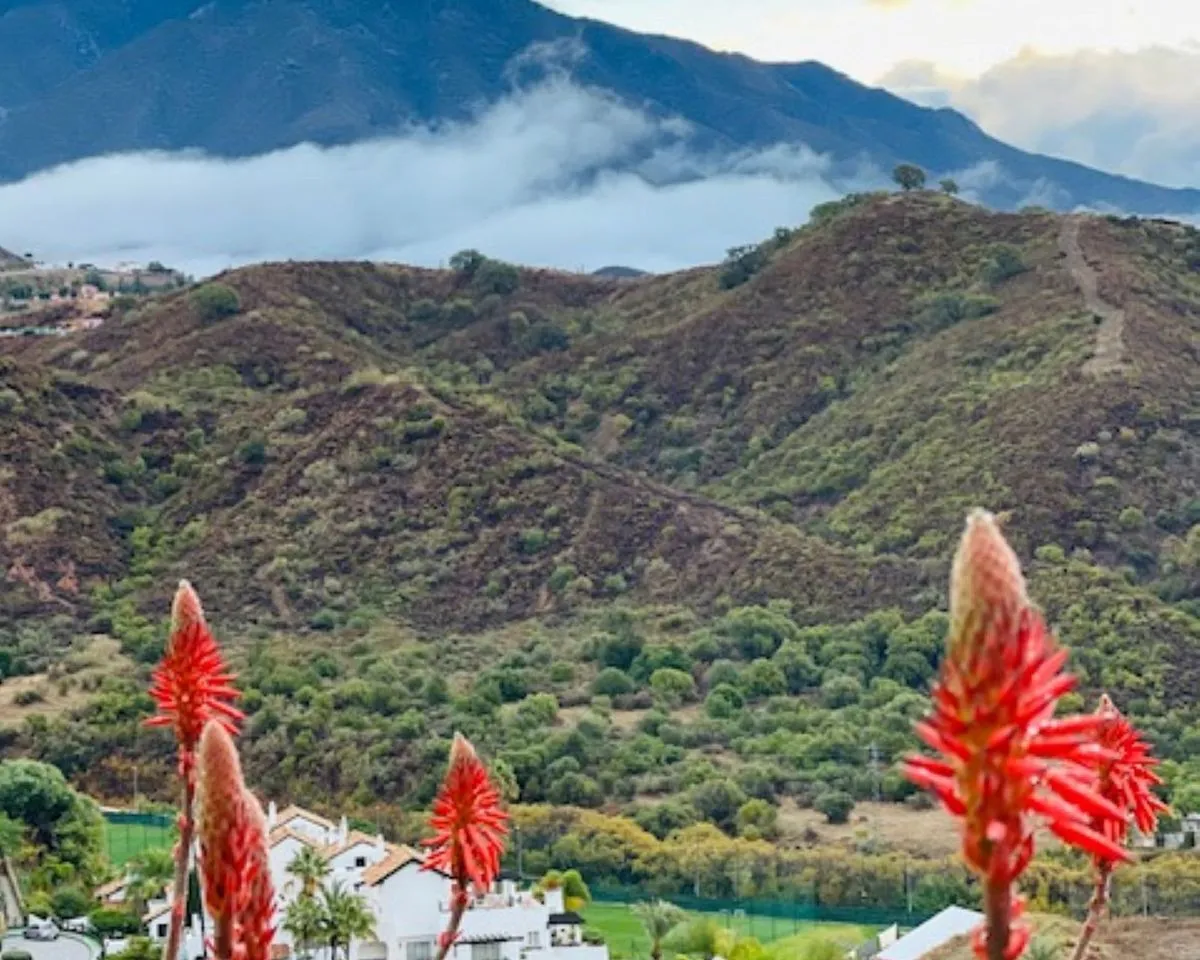 0eef0f24-e0a4-4cdd-b804-10160e0eaec8