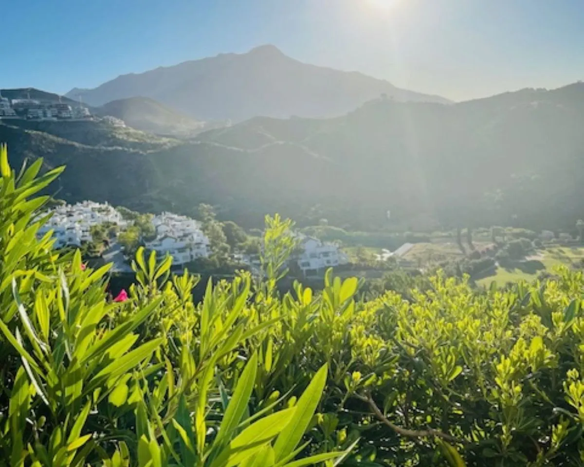 7d97cac1-3cb4-42a4-ba03-1eea0c027d7a