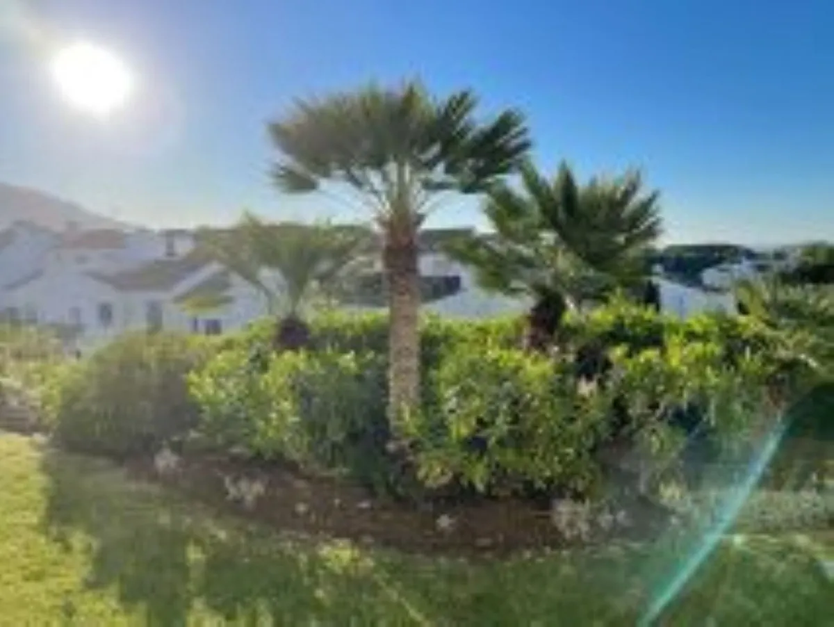 7e555320-0e87-4e31-8174-c430c0c4eca5