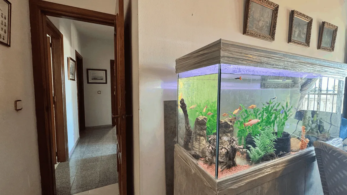 19960366-e4b0-4ac6-bcc9-04278ce1a924