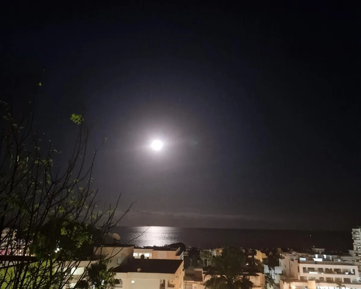 bcc4c7f7-43da-48f6-8b6d-88d46259b794