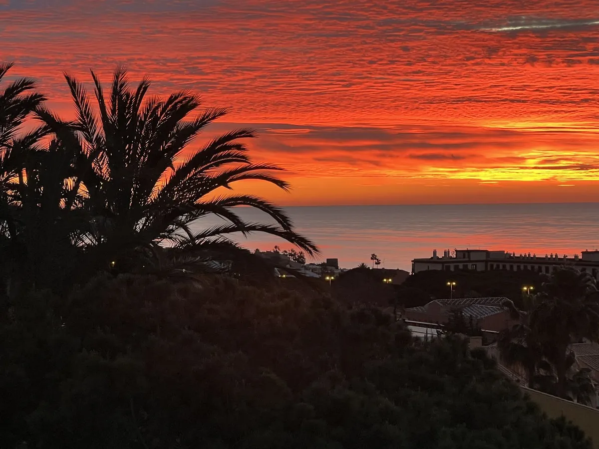 4b33d593-9b79-4490-b3c4-86a6de828107