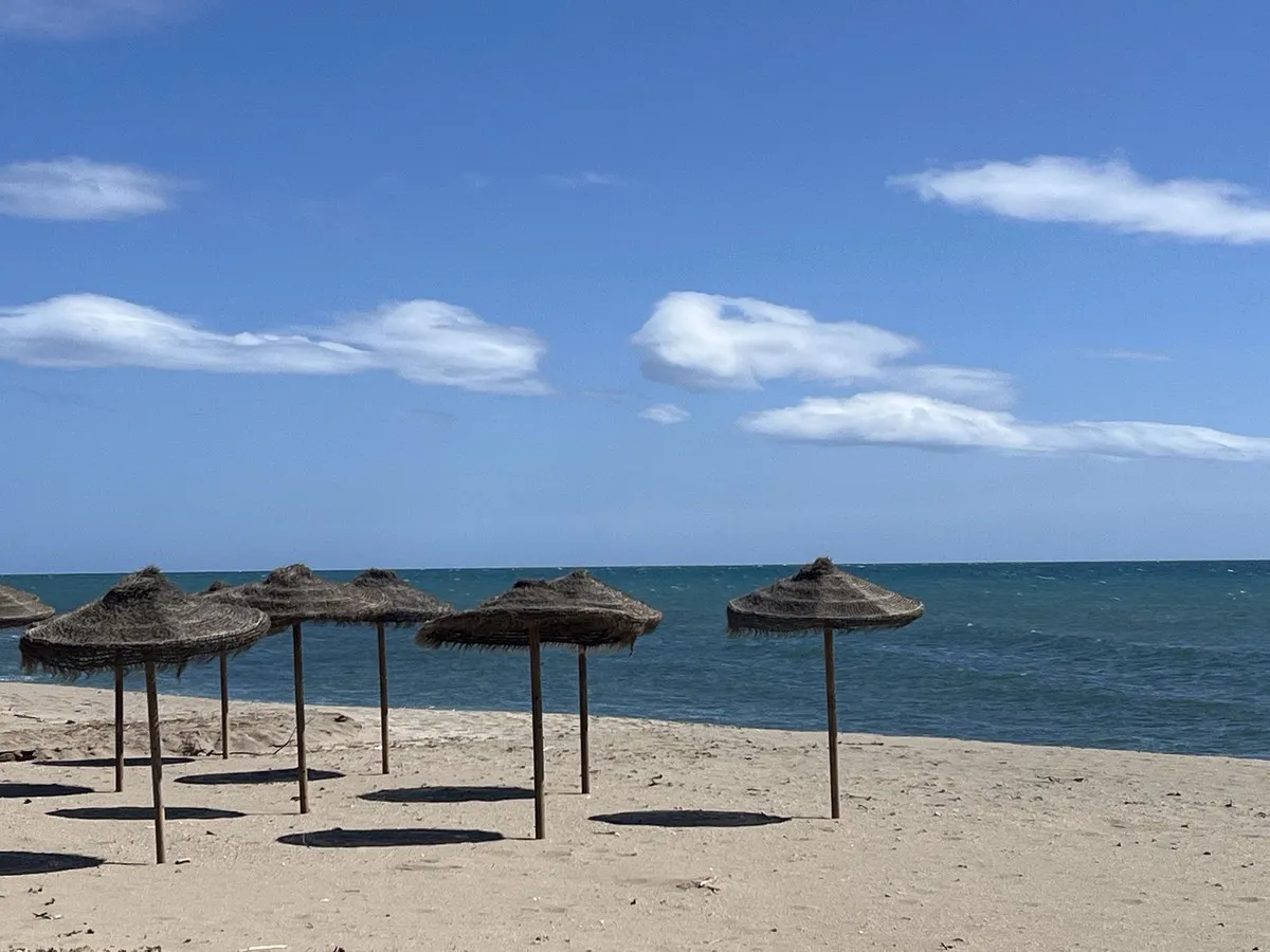 6da32c02-c5ff-43e7-894d-1f92286246cf