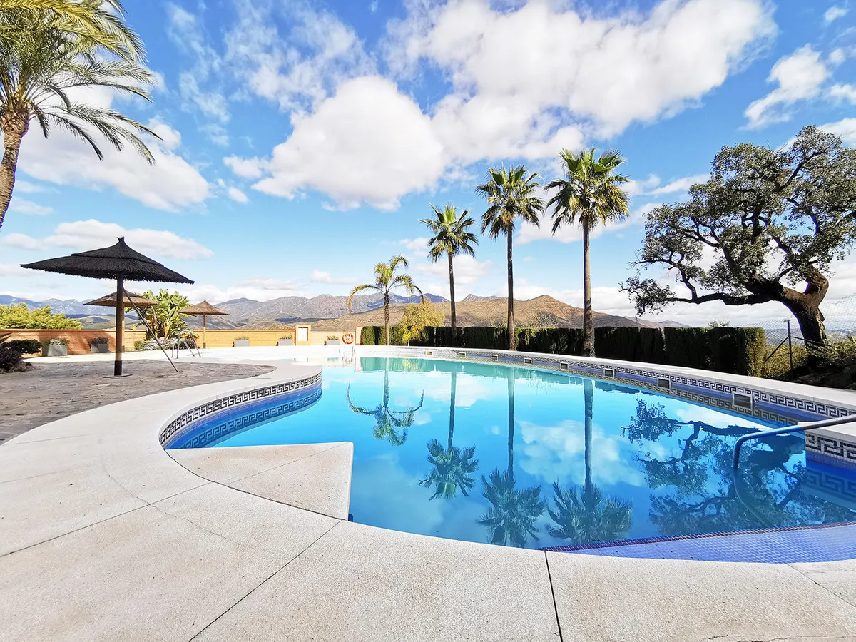 ae3e2552-03d3-43ee-b00f-5cd05c967d53