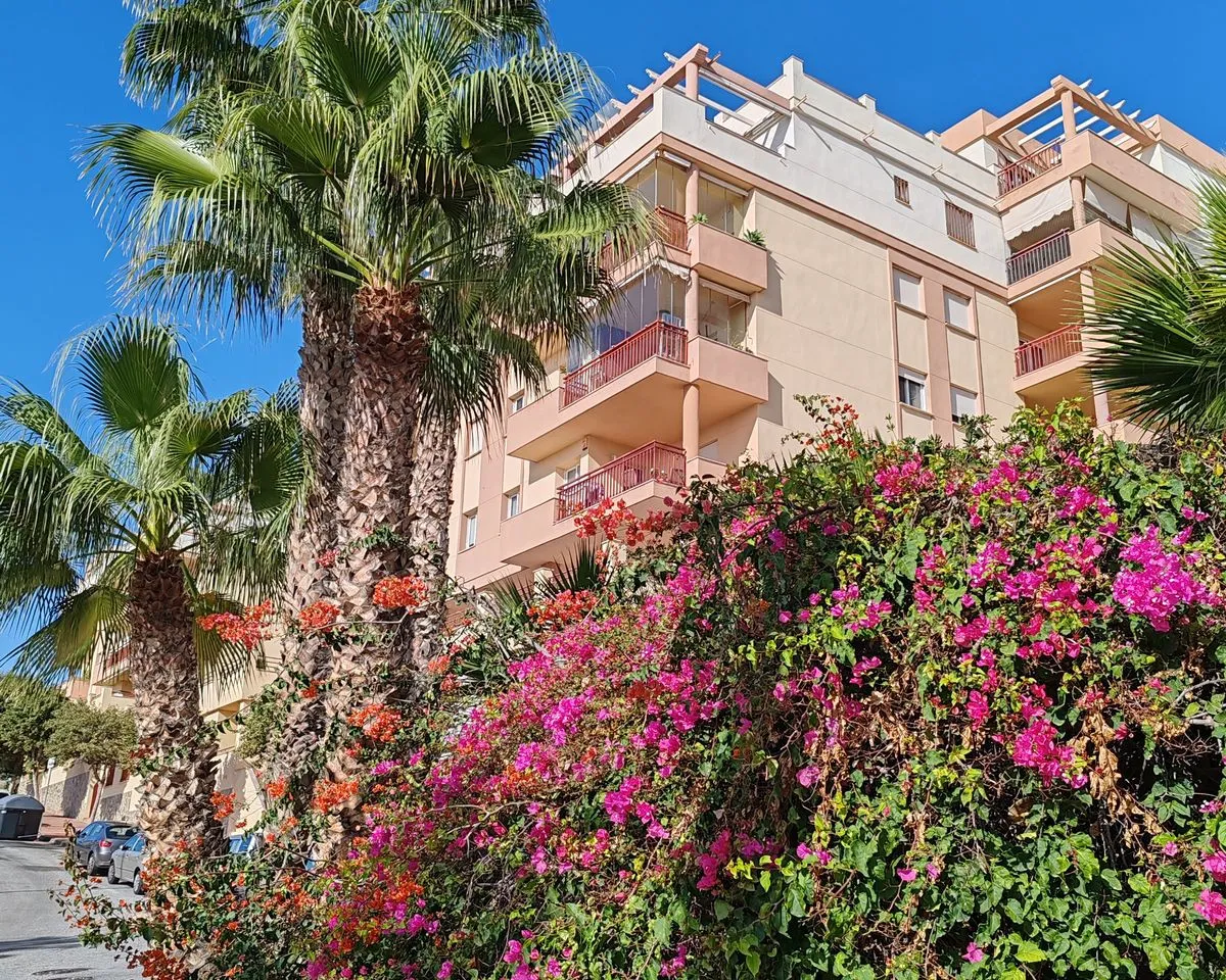 8ae381a2-0cec-42ac-b6d1-2c56adc616e6