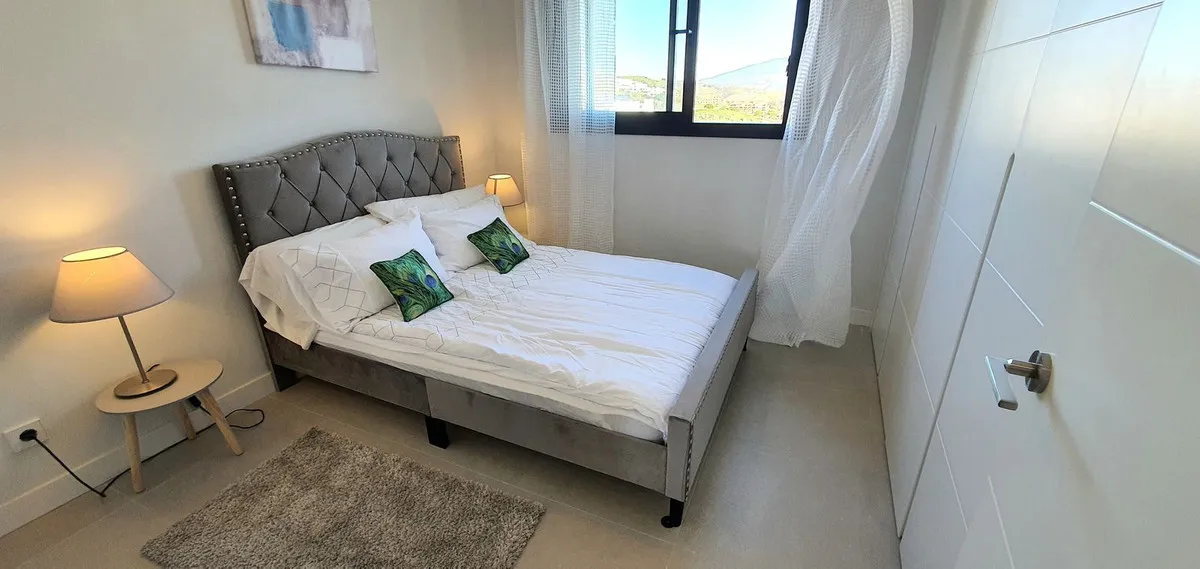 72ca2616-2993-44dc-9462-0ca20ea726f2