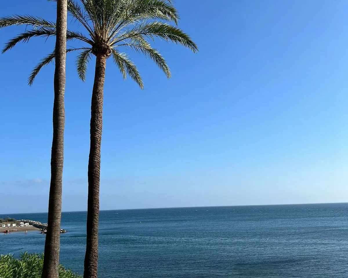 cf0869ce-bab4-474f-9627-fcdb092b1a12