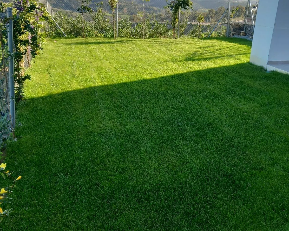 ced92b0b-de20-4a6c-96c2-bdce475eb5f1