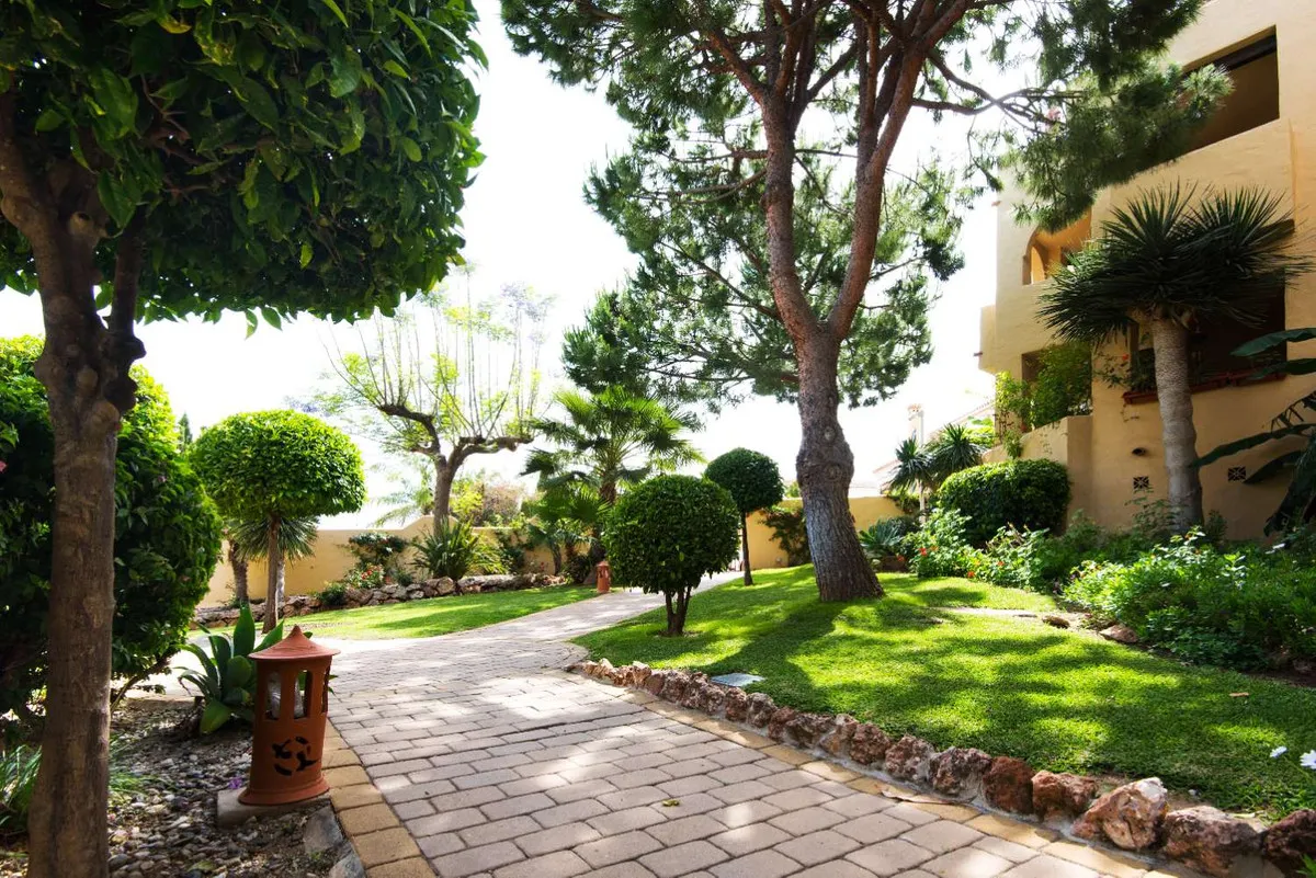 43e0ae02-bcf2-4122-acf8-2e0aedc97d3d