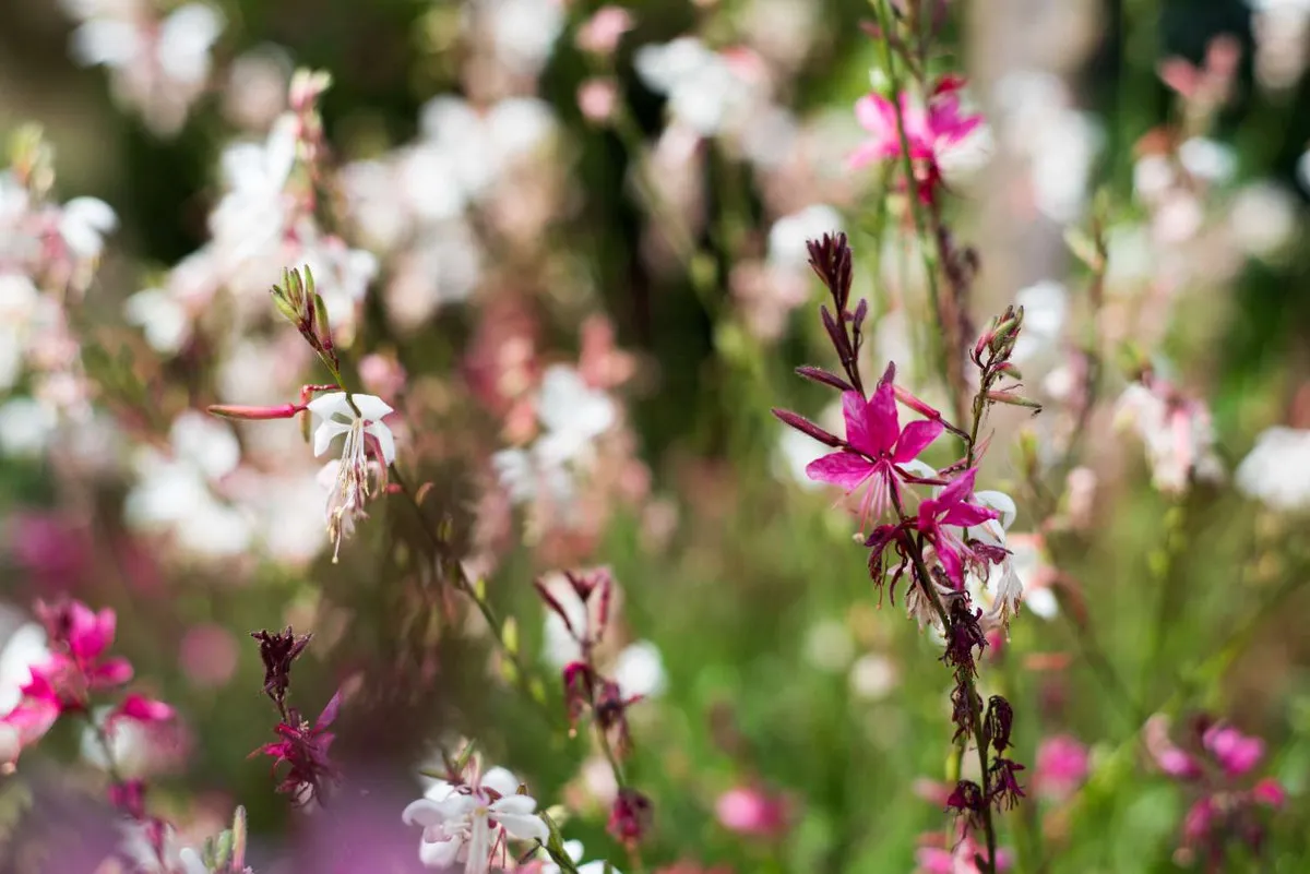 565bdbb4-f790-4fde-af3d-2178da33ba35