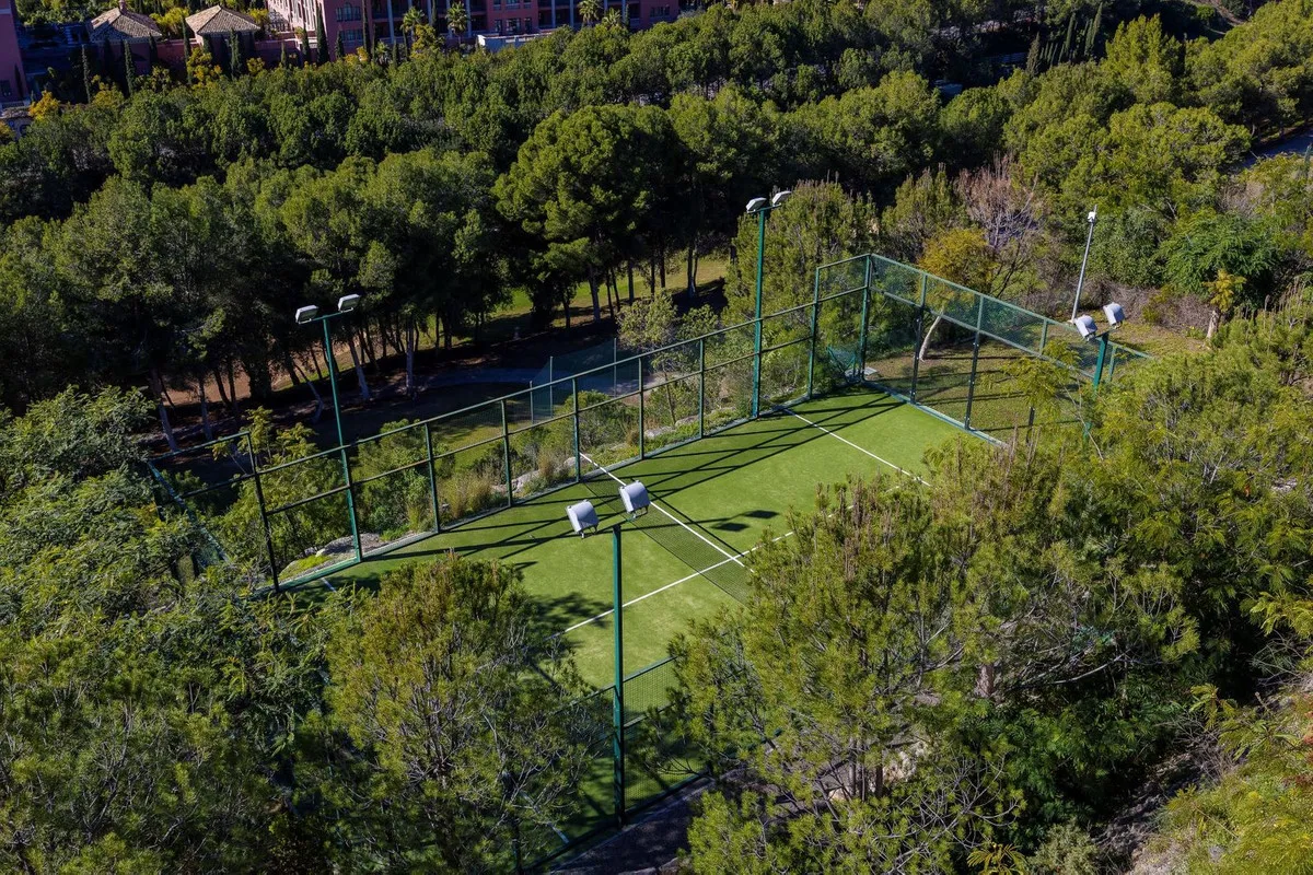 920ff531-a2e5-4ea8-aa19-416d2da5bd47