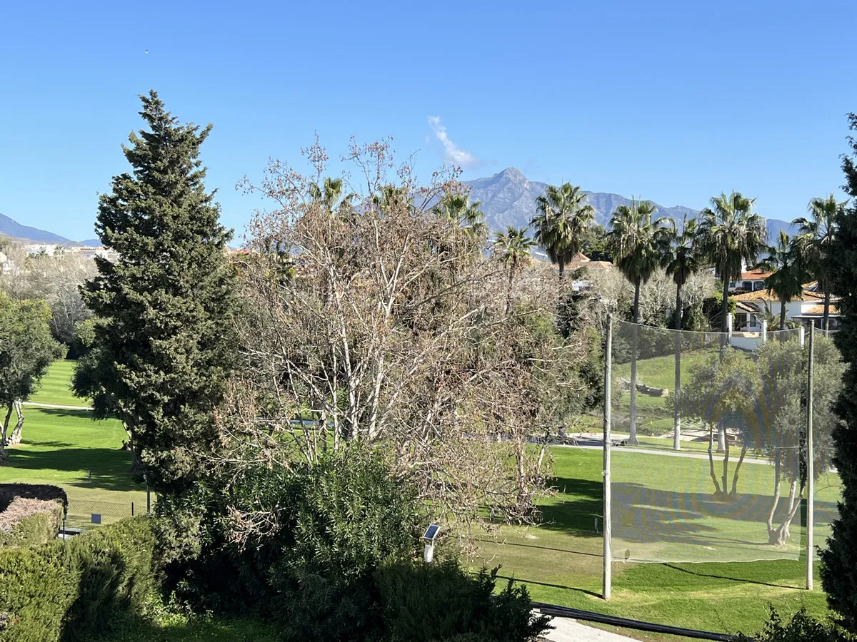 d80a9a52-14a7-41cc-aad9-0535c7ad0be4