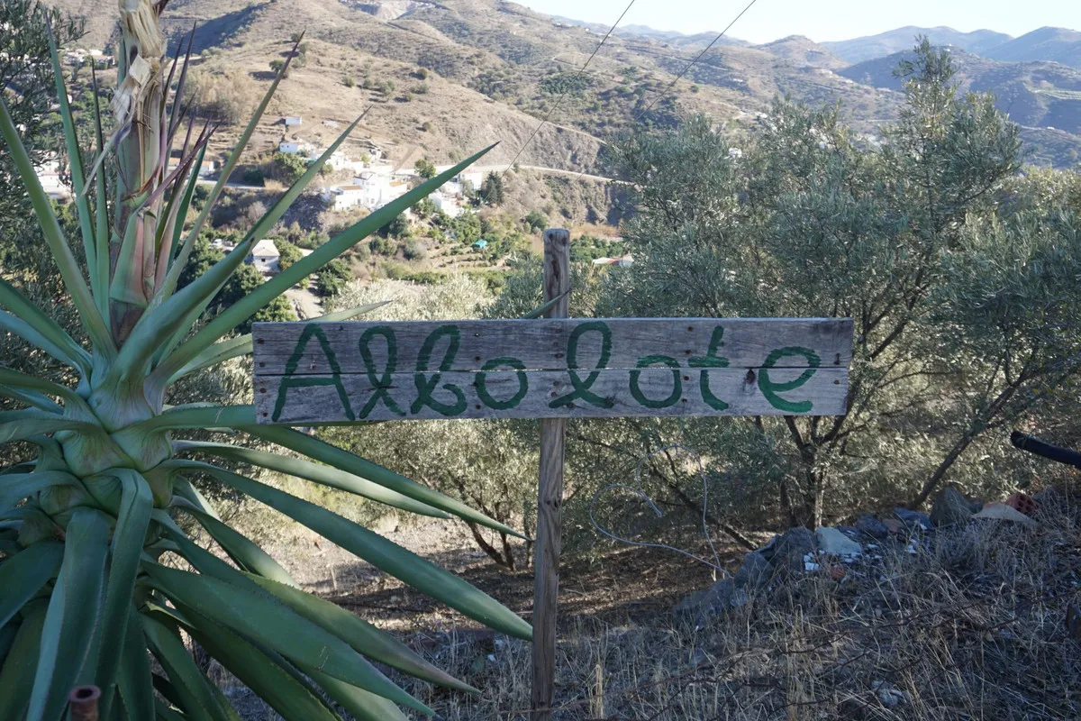 335818de-a33d-422d-badf-104adbe2fc1e