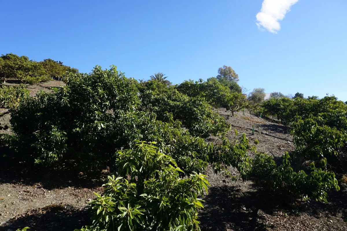 72b6d602-56d7-462e-8d28-95837064251d