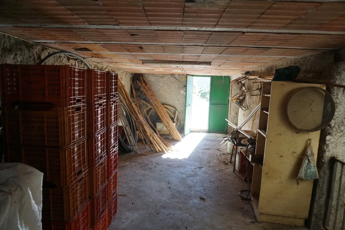 9a20cd21-e33f-410f-8d7c-2b803244b64d