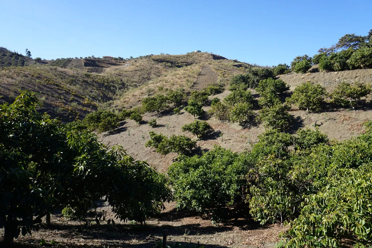 e008b84f-73dd-4952-86fa-580eb3c25578