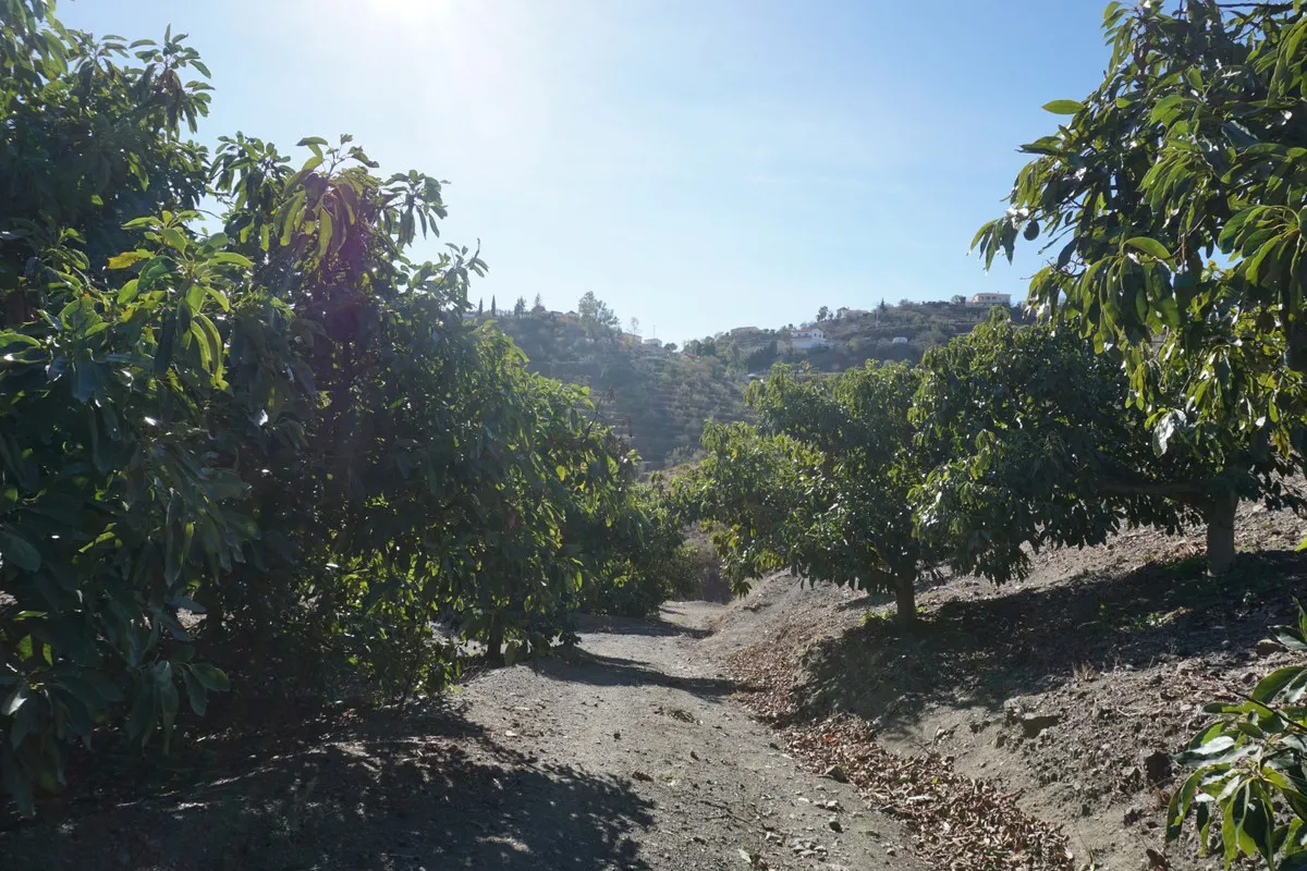 fba2dd23-0577-46ae-802d-a7e7bb922cbb