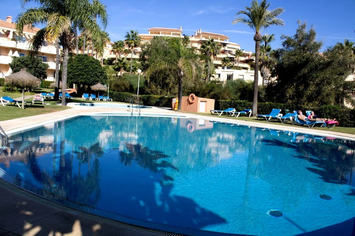 81363380-e761-4636-ab11-0a1ae75efff2