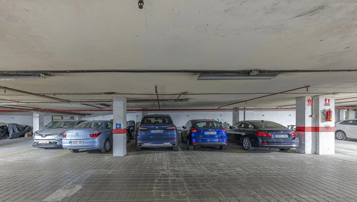 66ccf7dd-5bcd-4b1f-8583-12c4c15f1a9e