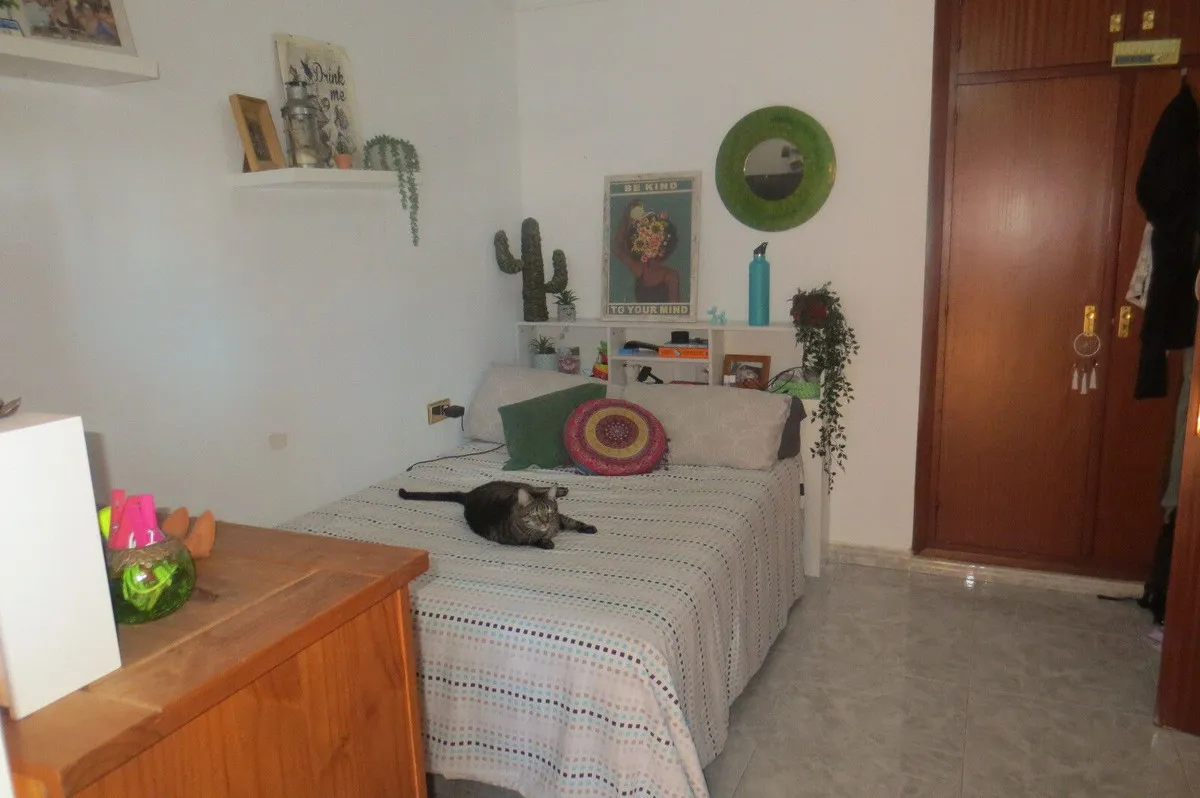 80b16423-eae5-42ee-86d1-f823d3d86621