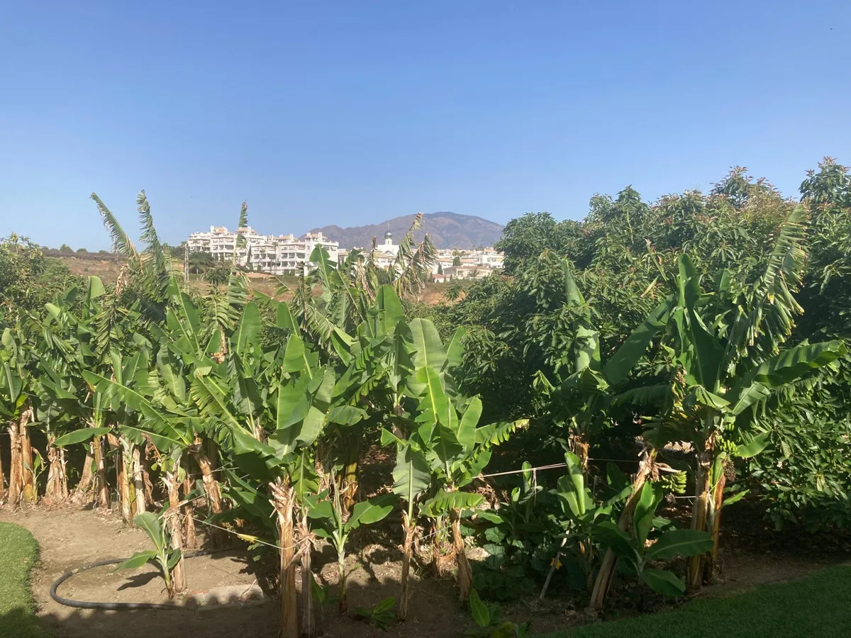 0e7a311a-51ce-45a7-97d6-80831bcc739b