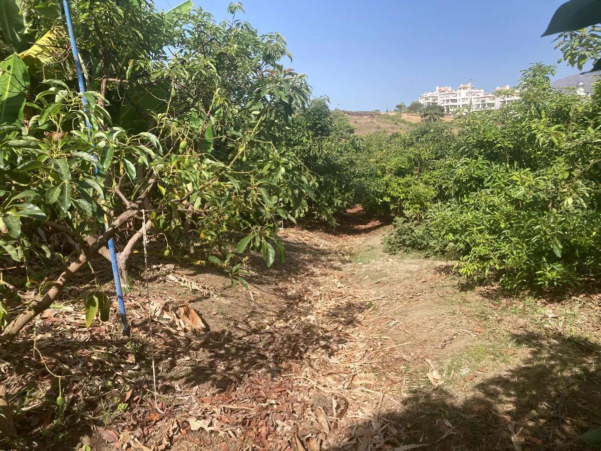 0f5a0ea8-b21c-4ffa-b958-3e5cfffecaf5