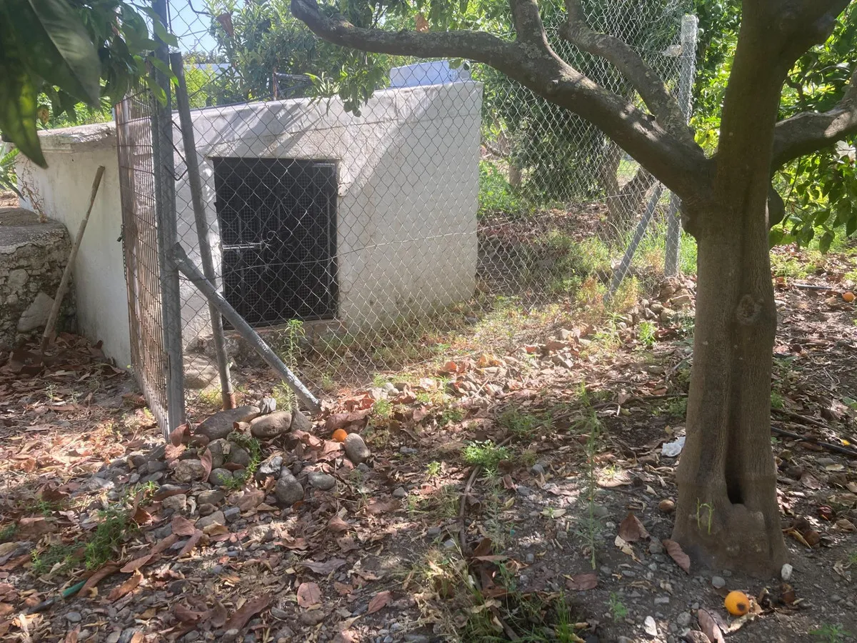 4c6a93be-5e81-4e3b-a11e-0d4c40641f38