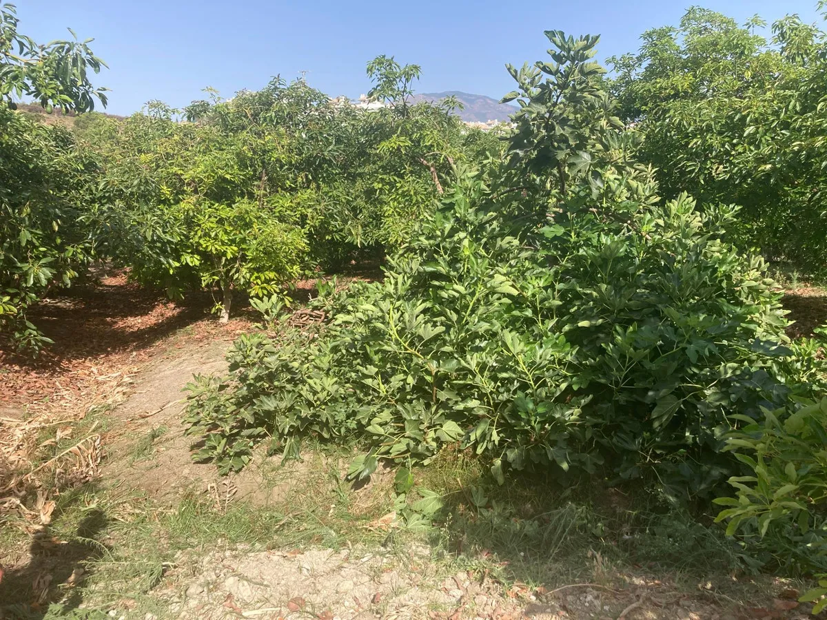 560ef117-ab63-4058-b9eb-810f4178bf0a