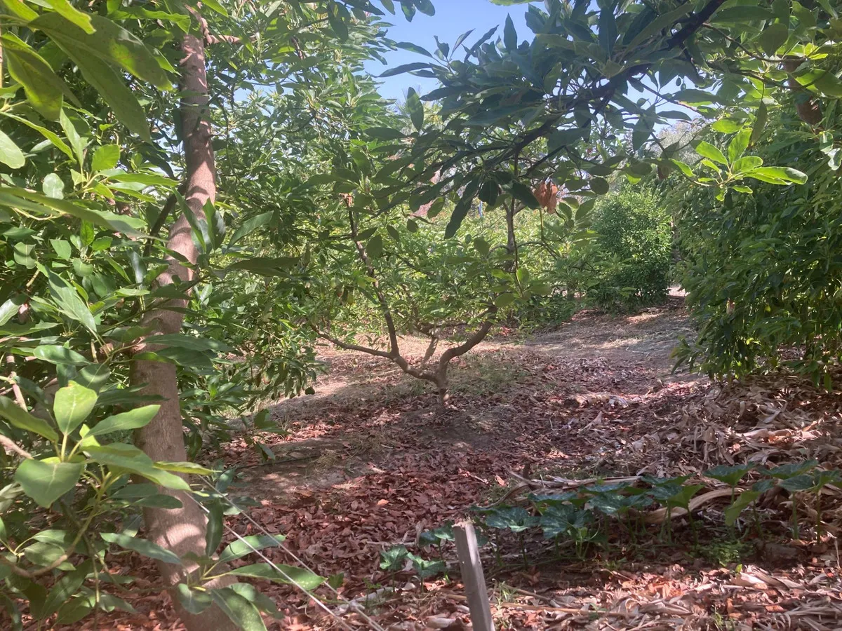 7c1a5123-920b-43c1-b834-f1eaf72fdb40