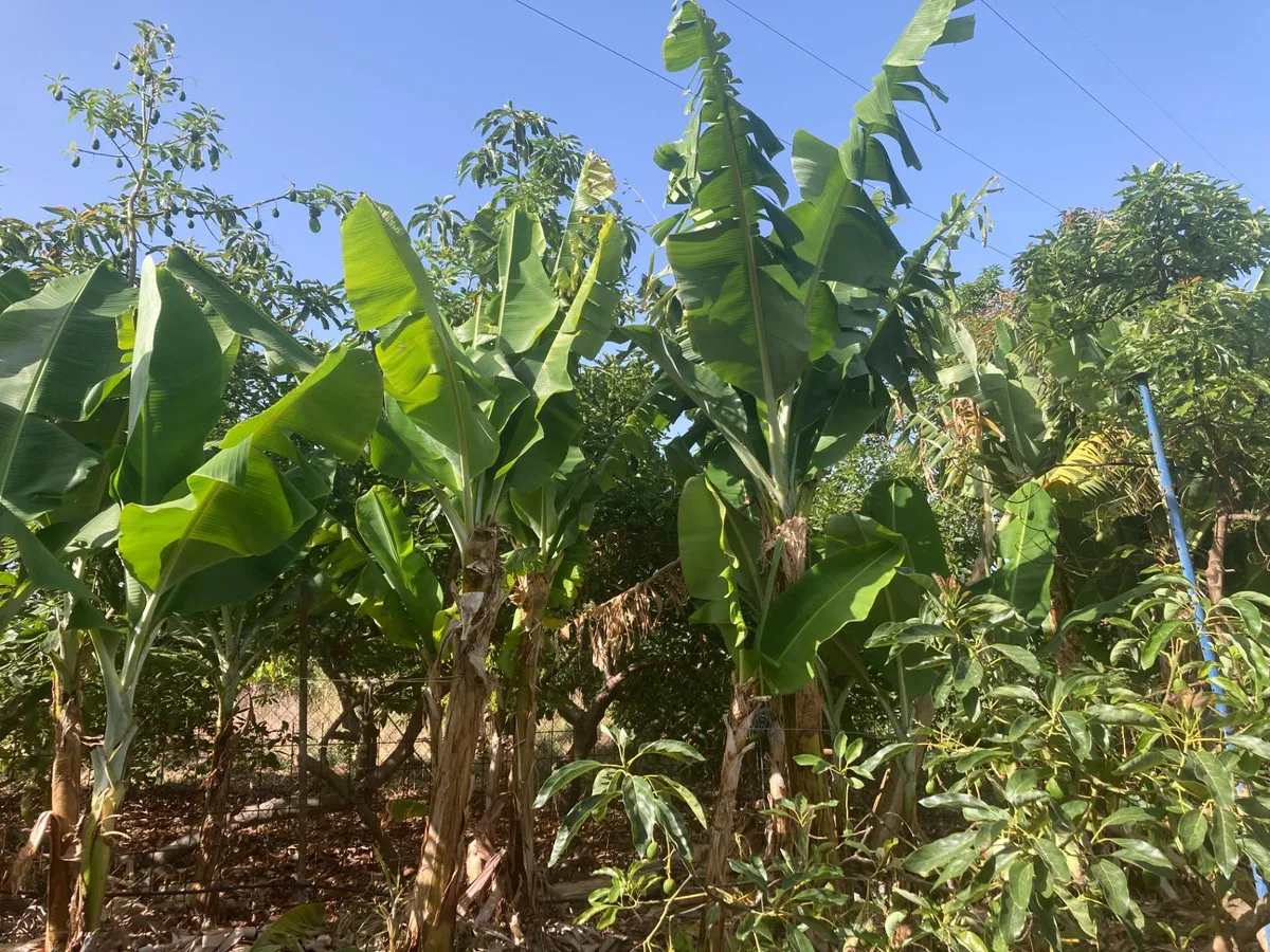 b524281d-255e-4fb6-9f9f-9a940a9bfe1c