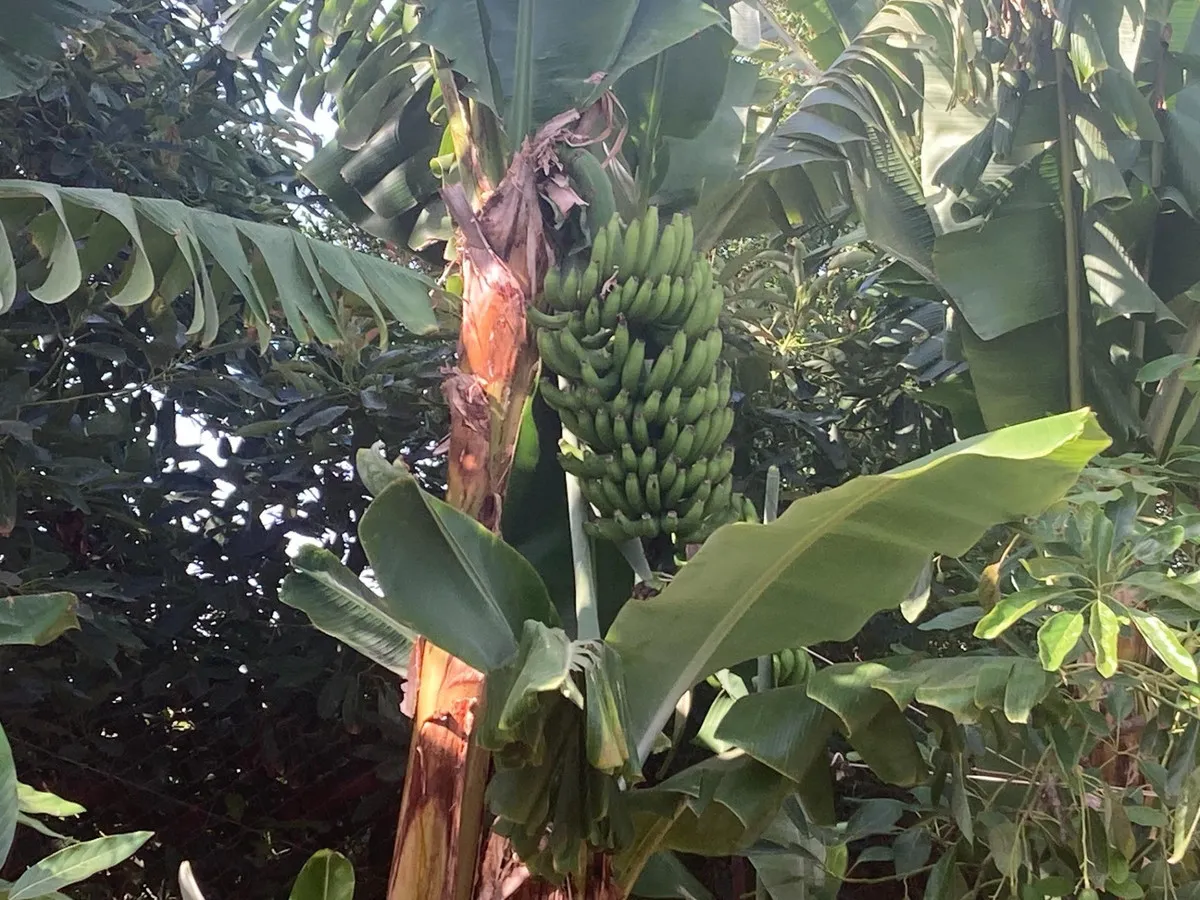 c4732836-138a-4c78-8da2-ea22f4038d10